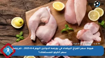 هبوط سعر الفراخ البيضاء في بورصة الدواجن اليوم 4-8-2025.. كم وصل سعر الكيلو للمستهلك؟
